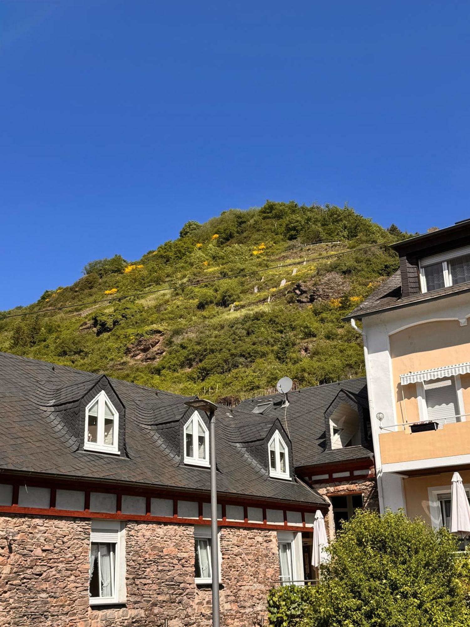 Ferienweingut Rudorfer Hotell Valwig Rum bild