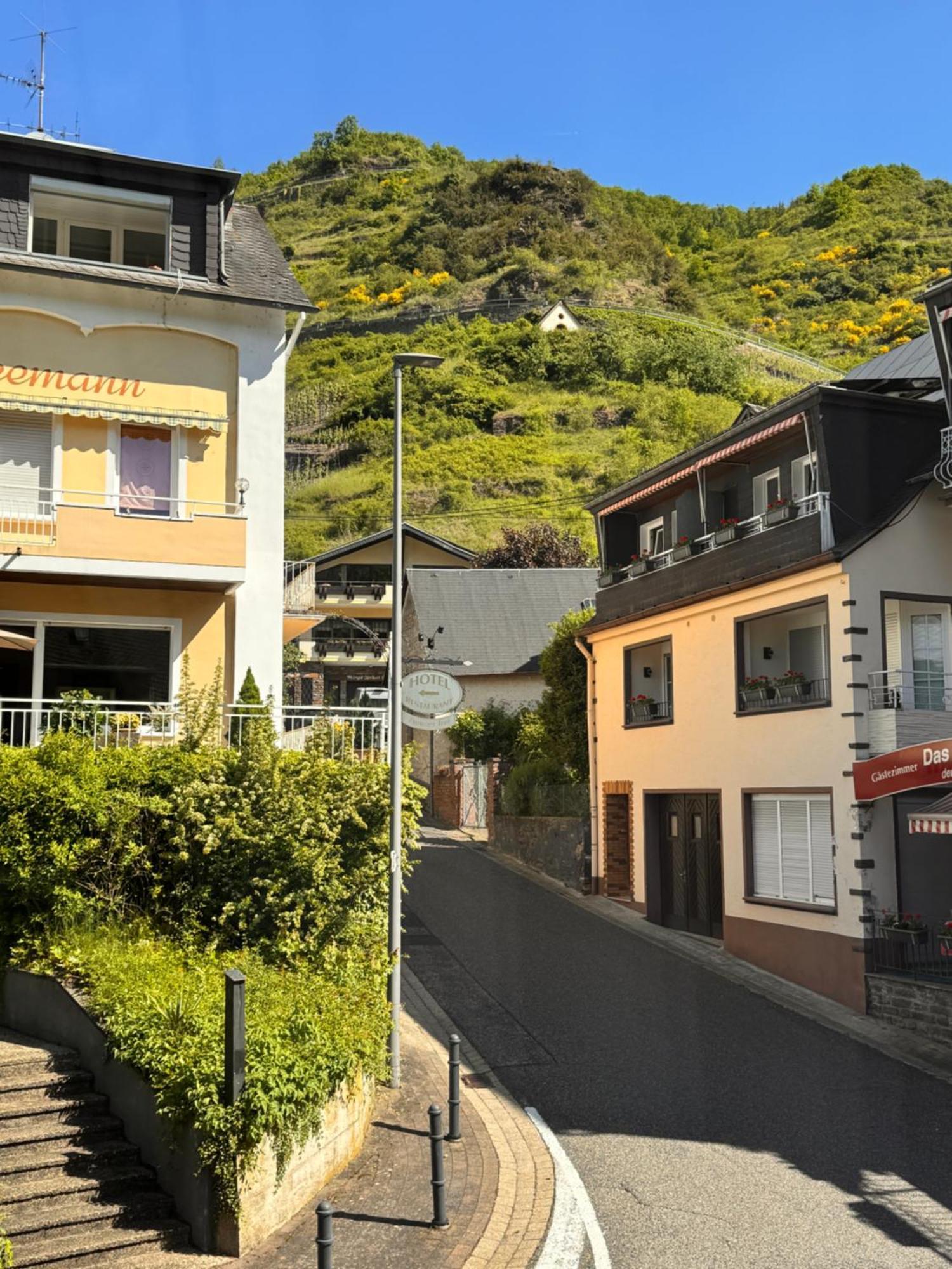 Ferienweingut Rudorfer Hotell Valwig Rum bild