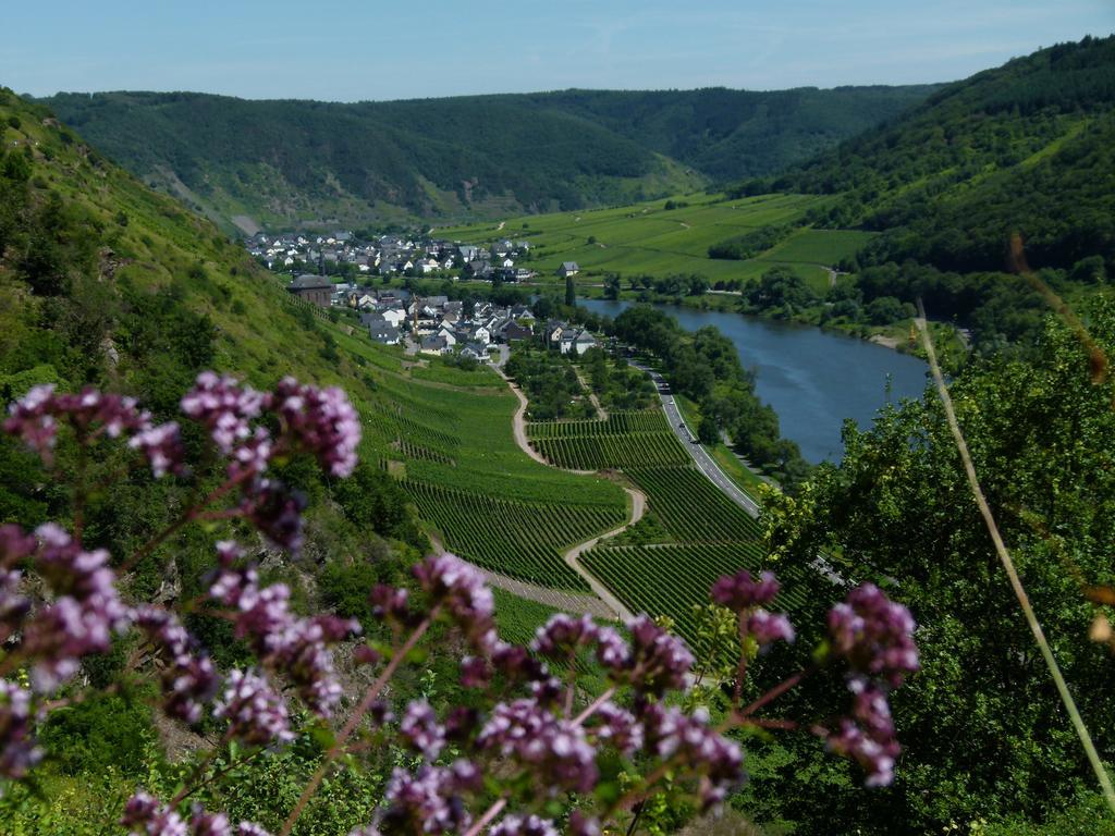 Ferienweingut Rudorfer Hotell Valwig Exteriör bild